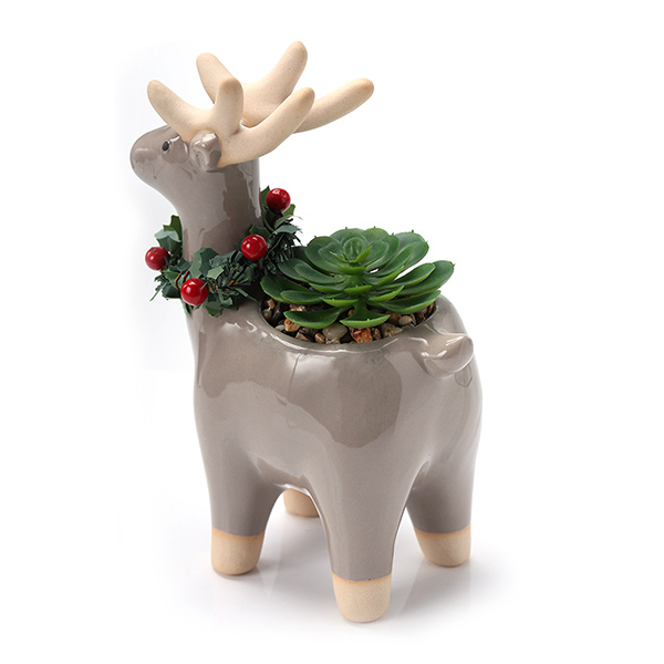 Winter Home Decoration Planter Succulents