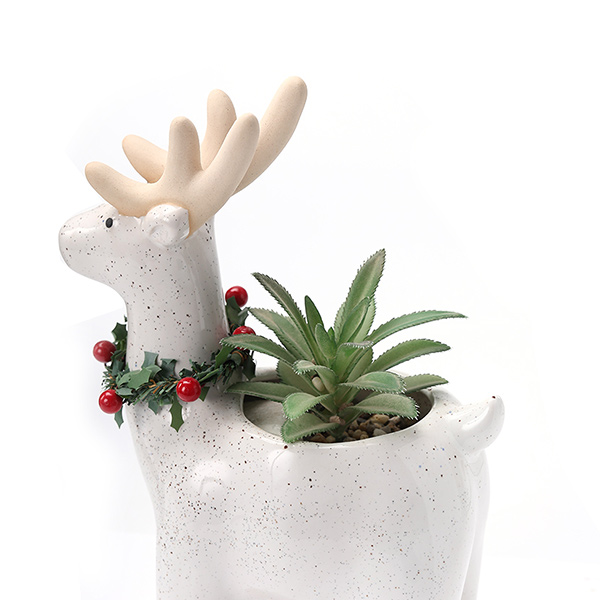 Winter Home Decoration Planter Succulents