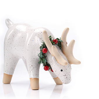 Winter Home Decoration Planter Succulents