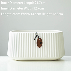 Phalaenopsis Special Planter