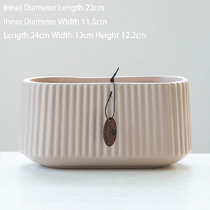 Phalaenopsis Special Planter