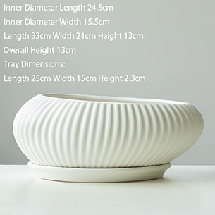 Phalaenopsis Special Planter