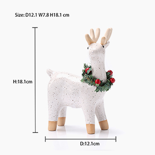 Winter Home Decoration Planter Succulents