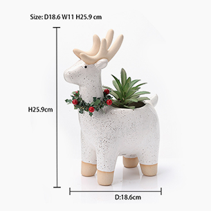 Winter Home Decoration Planter Succulents