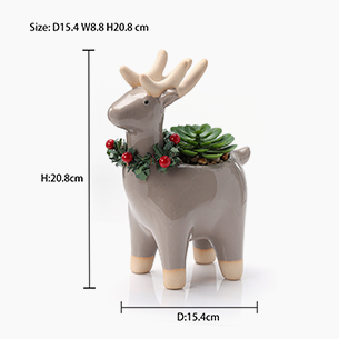 Winter Home Decoration Planter Succulents