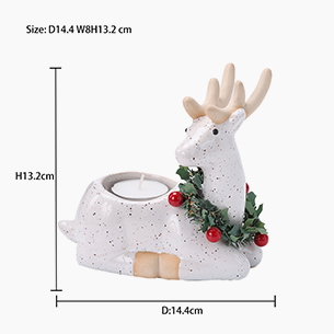 Winter Home Decoration Planter Succulents