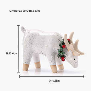 Winter Home Decoration Planter Succulents